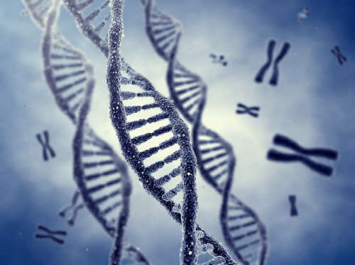 `난소절제` 안젤리나 졸리…현명한 예방의 시작은 `유전체 검사`